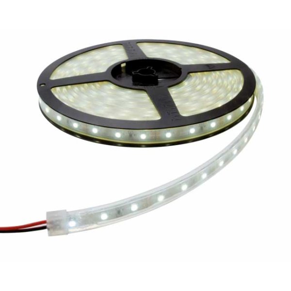 STRIP LED - Cbns1631 - QL27-50-4