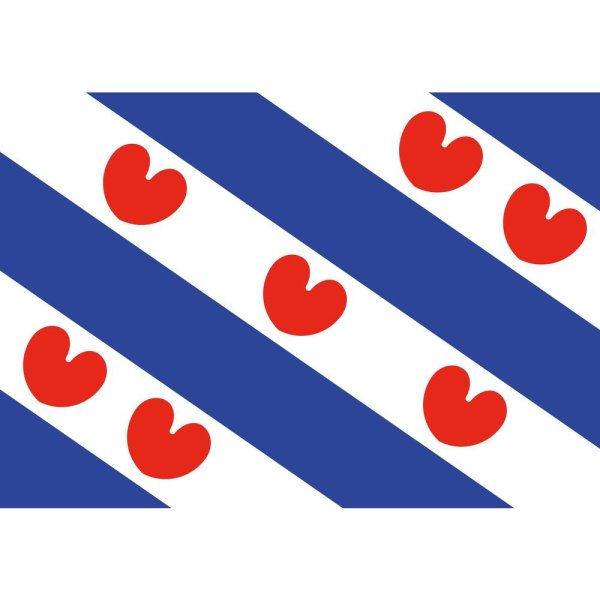 Friese vlag - Friese vlag 8 - HO1111040
