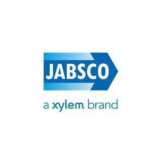 SCREW M4 x 20 SOCKET SET - Jabsco logo 10 19 - SCSP100905