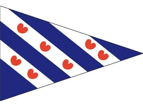 Puntvlag Friesland - Puntvlag friesland - HO1111002